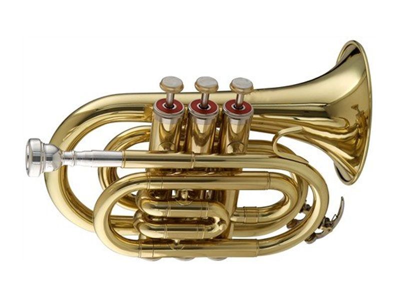 0610585229613 - SWING TT-201 B-Taschentrompete lackiert Bohr1170 mm Etui u ZubehÃ¶r